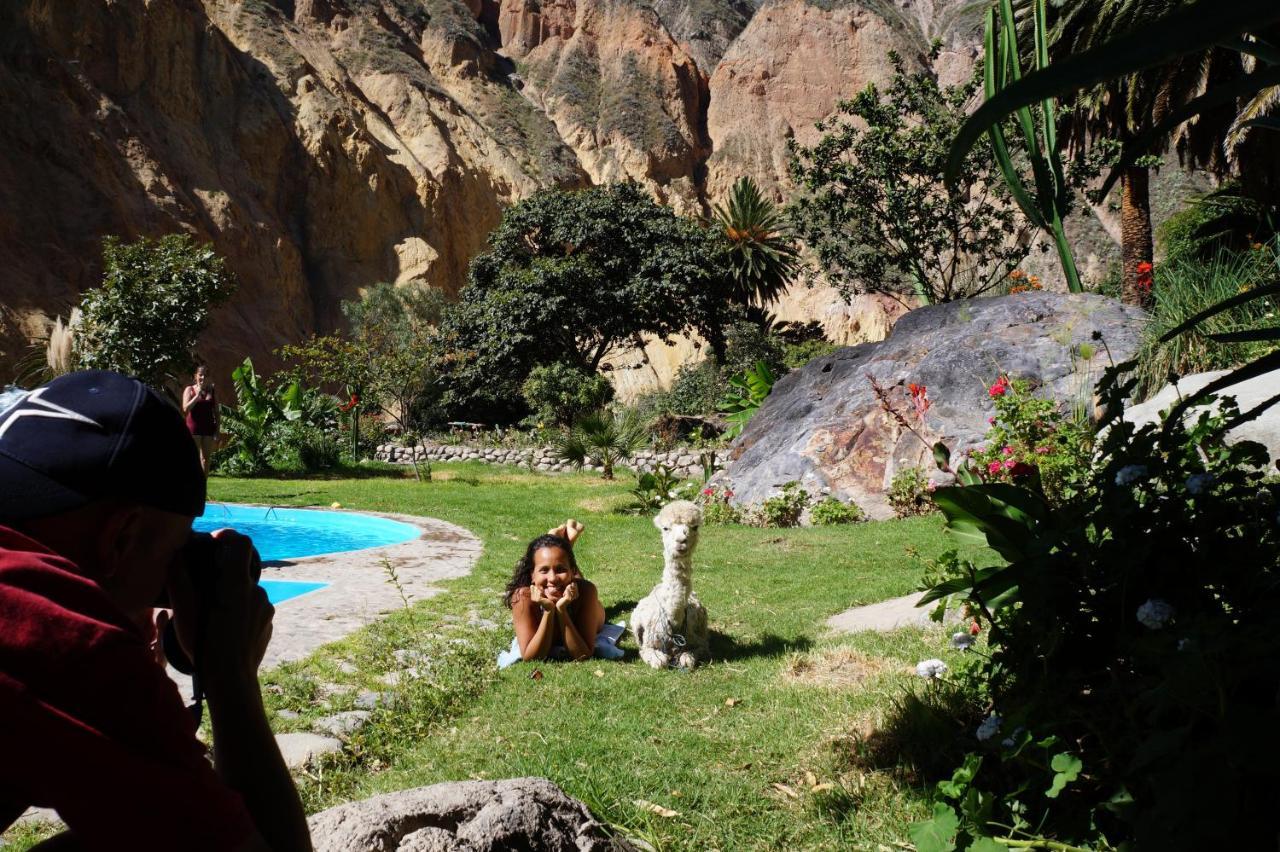 Paraiso Las Palmeras Lodge กาบานากอนเด ภายนอก รูปภาพ
