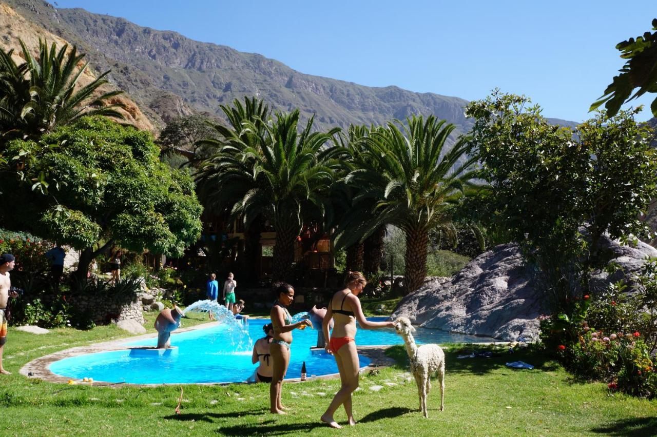 Paraiso Las Palmeras Lodge กาบานากอนเด ภายนอก รูปภาพ
